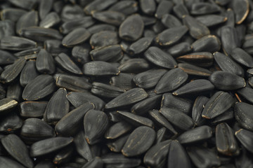 Surface coated with the sunflower seeds