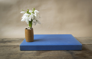 Bouquet of snowdrops and old blue book on wooden table