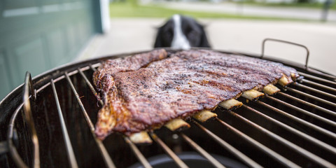 BBQ Ribs