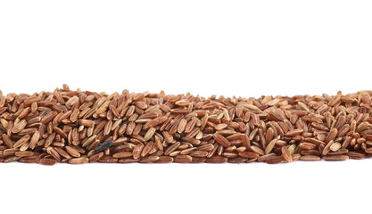 Obraz premium Line pile of brown rice grains isolated