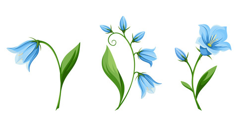 Vector set of blue bluebell flowers isolated on a white background. - obrazy, fototapety, plakaty