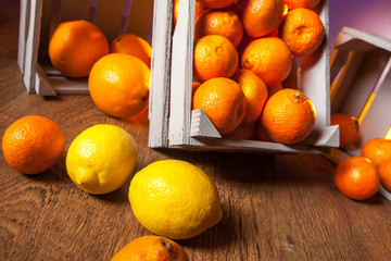 Storing citrus fruits.