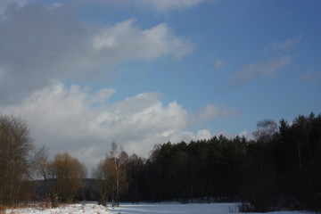 clouds , sky and forest