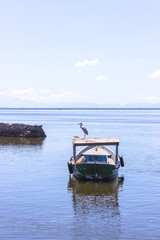 Brazil, State of Rio de Janeiro, Paqueta Island, View of bird on top of a fishing boat