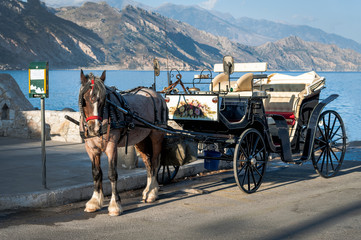 Fototapeta na wymiar Horse carriage is staying in port of Paleochora town, Crete island, Greece