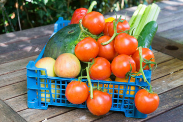 Fruit ready for outside party