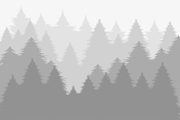 Dark forest of pine wallpaper
