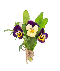 Pansy flowers bouquet white background
