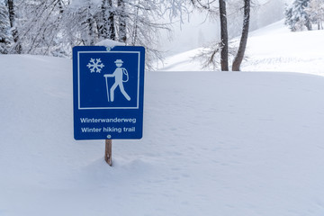 Blue sign of the road for hiking