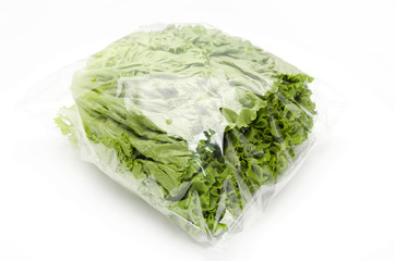 グリーンリーフ