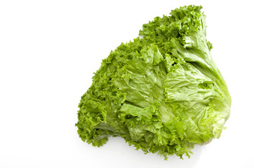 グリーンリーフ