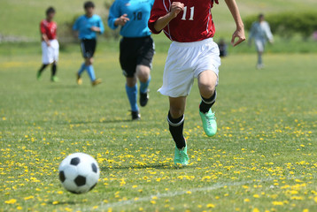 Fototapeta premium サッカー フットボール