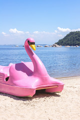 Brazil, State of Rio de Janeiro, Paqueta Island, Pink swan pedal boat by the beach on a sunny day