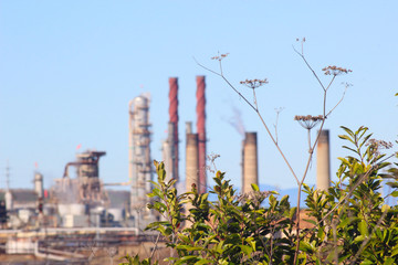 Tree foreground - Refinery background
