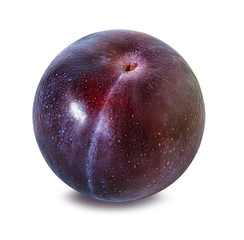 plum on a white