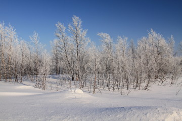 Winterlandschaft, Skandinavien, Norwegen, Schweden, Finnland, Island