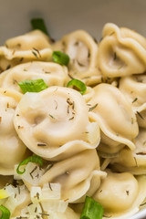 Meat dumplings - russian pelmeni, ravioli with meat