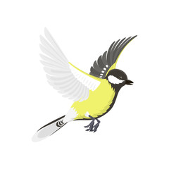 Titmouse bird isolated on white nature wild vector illustration.