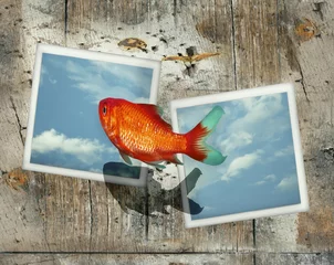 Abwaschbare Fototapete Surrealismus Ein Sprung zwischen zwei Fotos Polaroid