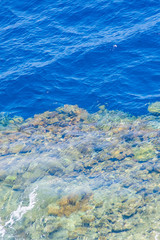 red sea coral reef with hard corals through clean water