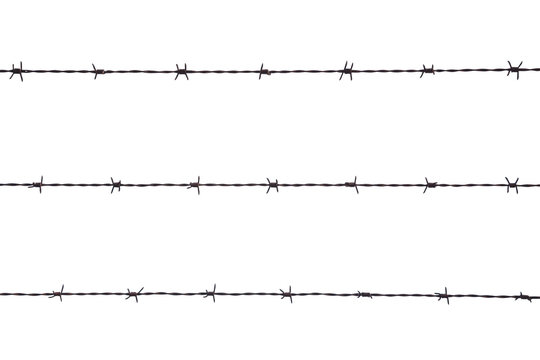 Barbed wire against white background isolated. Concept for prison, jail, concentration camp and captive