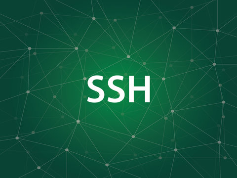 ssh - Secure Shell usually used for remote login and encrypted file transfers