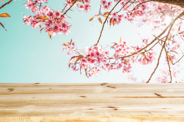 Top of wood empty ready for your product and food display or montage with pink cherry blossom flower (sakura) on sky background in spring season. vintage color tone.