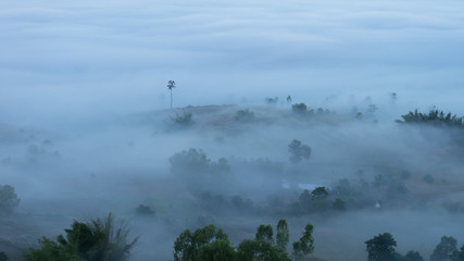 Mountain in The mist
