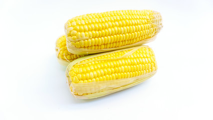 ears of Sweet corn on white background