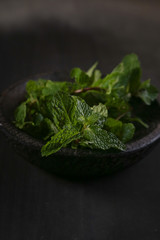 Mint leaves on dark background