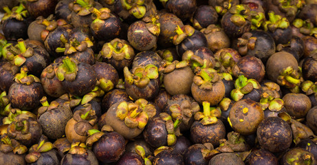Ripe mangosteens with beautiful purple colour sold in traditonal market in Bogor Indonesia