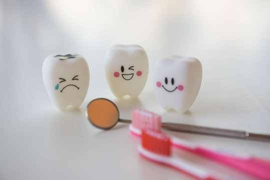 Model toys teeth in dentistry on a white background.