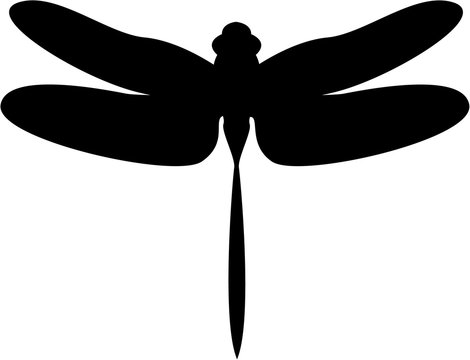 Dragonfly In Silhouette