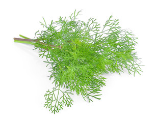 Bunch of fresh coriander leaves over white background