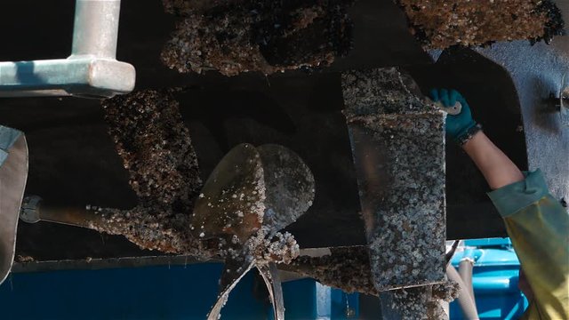 Boat Propellers Sea Growth Scraping