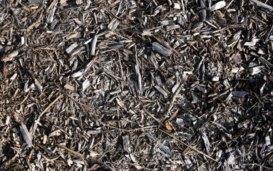 Bark leaves and wood chippings mulch as an abstract coarse background texture.