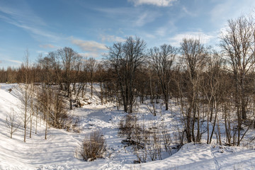 frozen river and forest