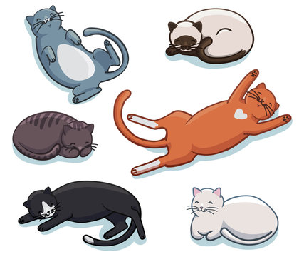 Vector set of cute sleeping cats. Different lazy sleepy lying kitties collection. Funny cartoon kittens in different poses and colors