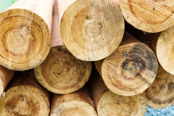 piles of log