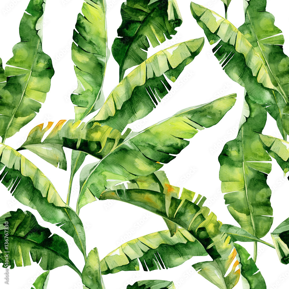 Wall mural seamless watercolor illustration of tropical leaves, dense jungle. pattern with tropic summertime mo