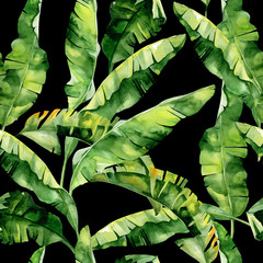 Akwarela ilustracji tropikalnych liści, gęsta dżungla. Wzór z motywem tropic summertime może służyć jako tekstura tła, papier pakowy, tekstylia, tapeta. Liście palmy bananowej