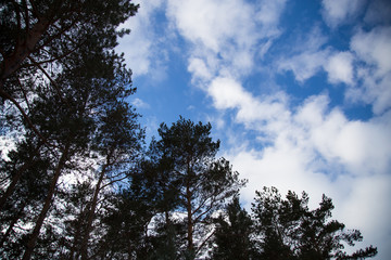 Blue sky with white clouds.