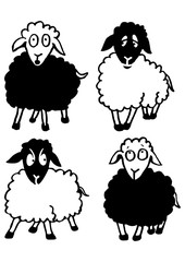 4 sheep having a chat