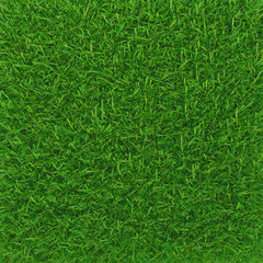 Green grass. background texture. fresh spring green grass. 3d rendering