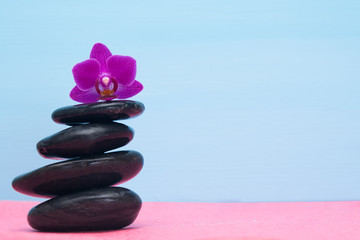 background of a pile of stones and purple orchid