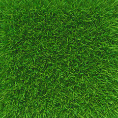 Green grass. natural background texture. fresh spring green grass. 3d rendering