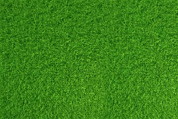 Deurstickers Groen Groen gras. natuurlijke achtergrondstructuur. hoge resolutie. 3D-rendering