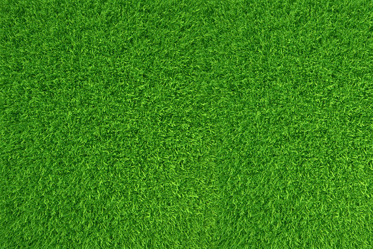 Green grass. natural background texture. high resolution. 3d rendering