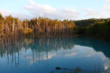 青い池13