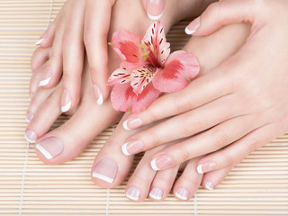 female feet at spa salon on pedicure and manicure procedure